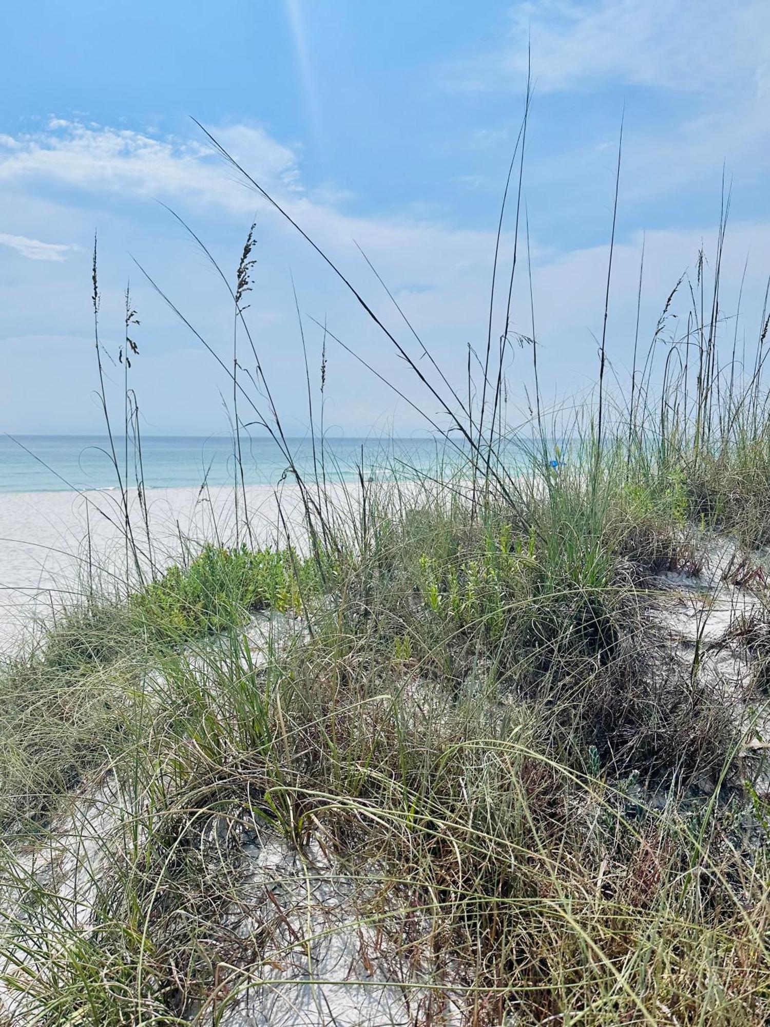 Sea Salt Vacation Home, Private Pool - Walk To Beach Panama City Beach Exterior foto